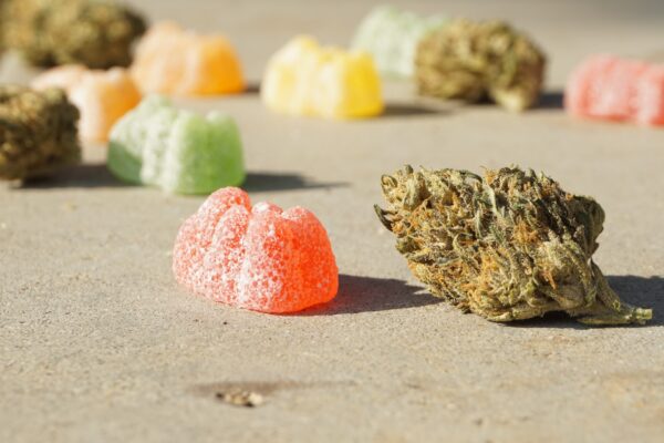 Before You Start Using Edibles – What You Should Know?